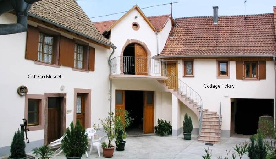 Gites Le Tokay Et Le Muscat Gertwiller Ruang foto